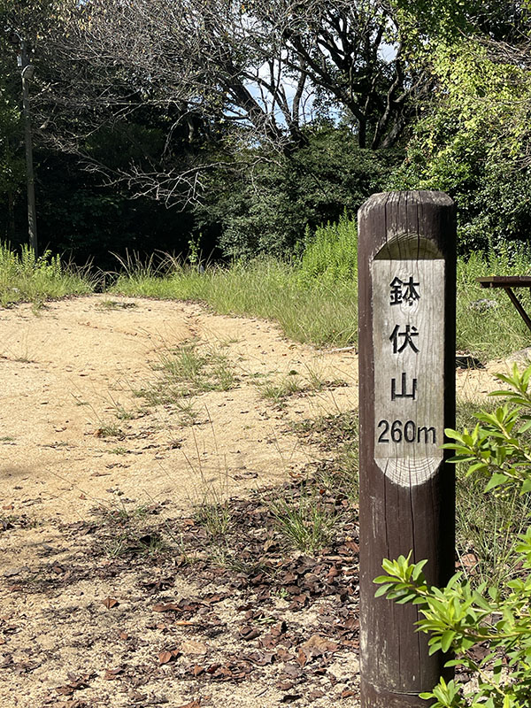 須磨浦公園　カーレーター　2025