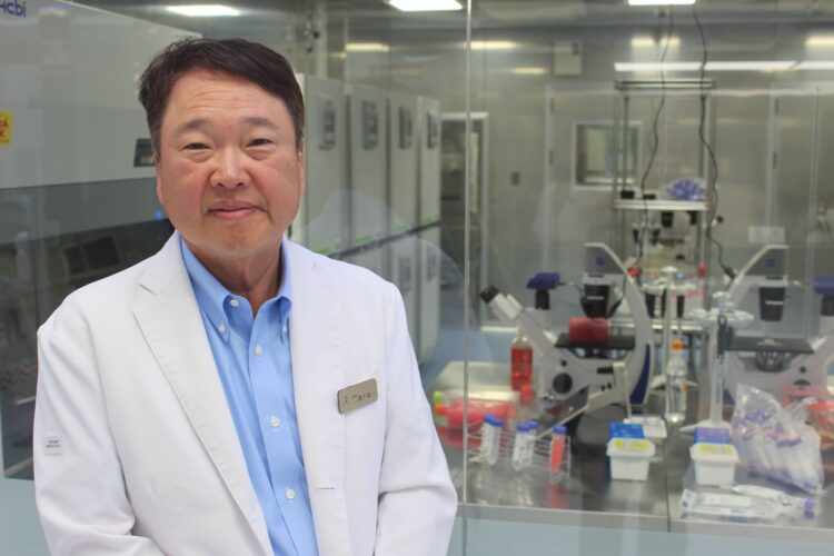 HGF遺伝子治療薬、動脈硬化