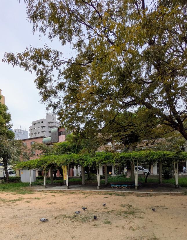 東住吉区駒川公園 ベンチ