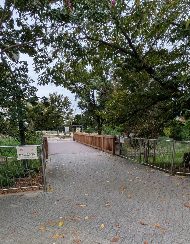 阿倍野区　桃ヶ池公園　島に渡る橋