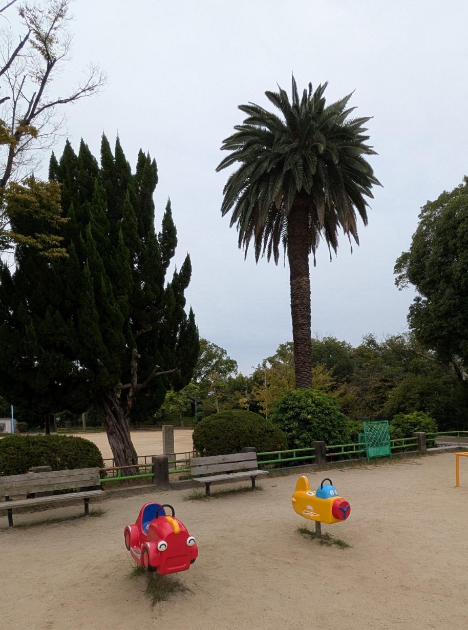 阿倍野区　桃ヶ池公園　スプリング遊具