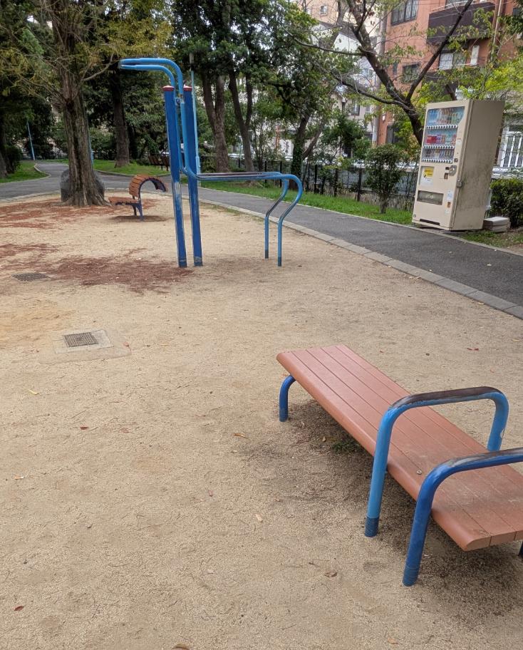 東住吉区 うるし堤公園 健康器具