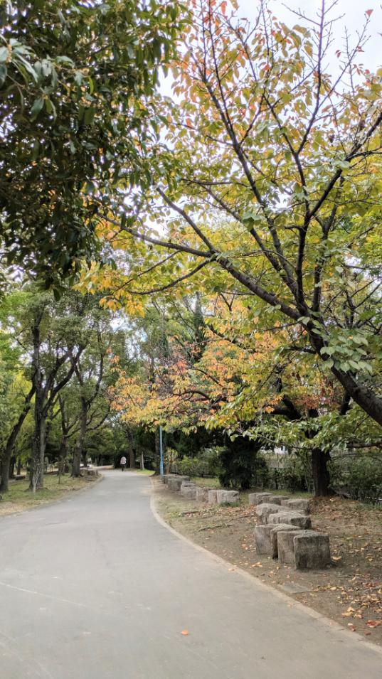 東住吉区　今川公園　遊歩道