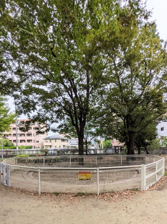 東住吉区　今川公園　砂場