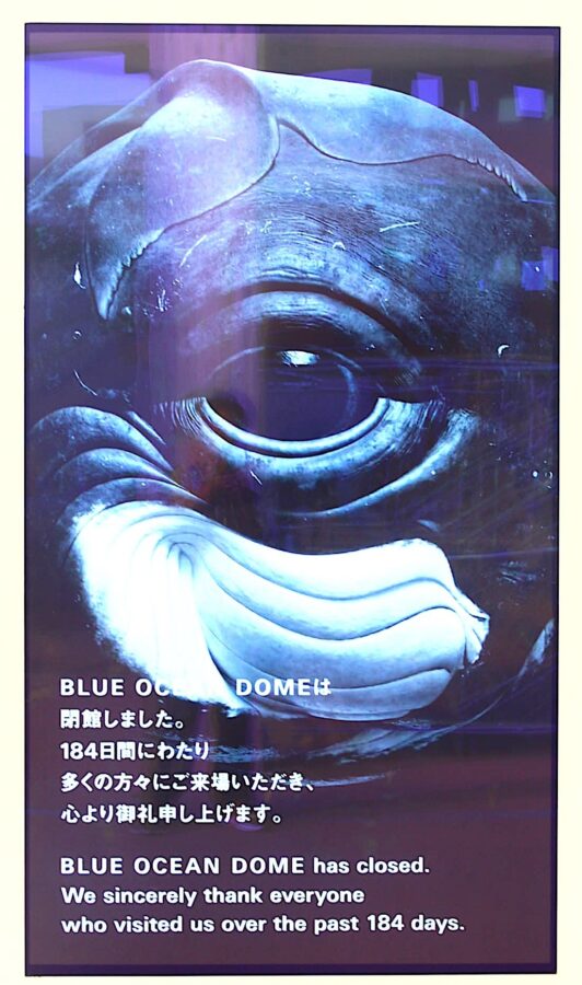 万博、メッセージ