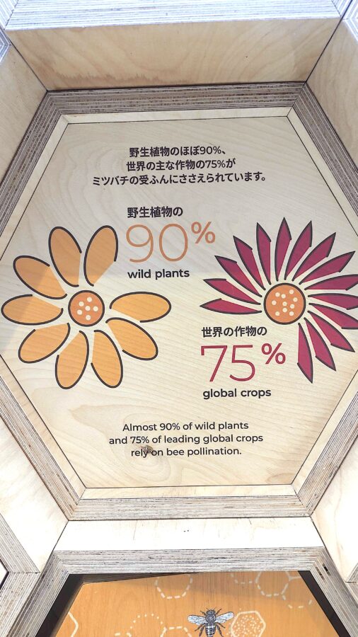 養蜂、大丸心斎橋、ウーマンズパビリオン