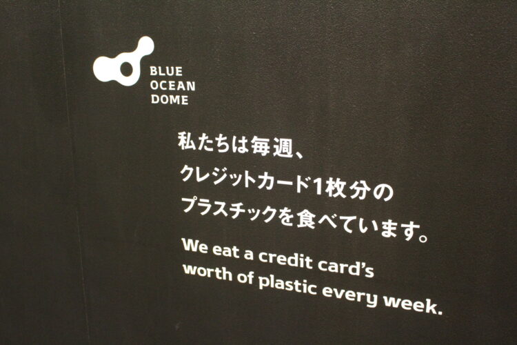 ブルーオーシャンドーム、万博、インタビュー
