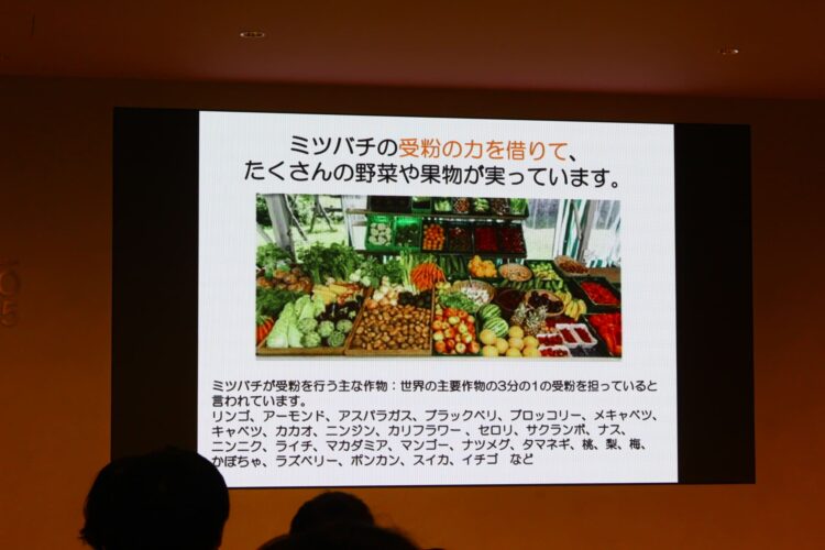 養蜂、大丸心斎橋、ウーマンズパビリオン