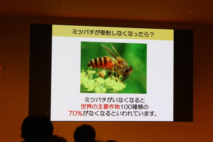 養蜂、大丸心斎橋、ウーマンズパビリオン