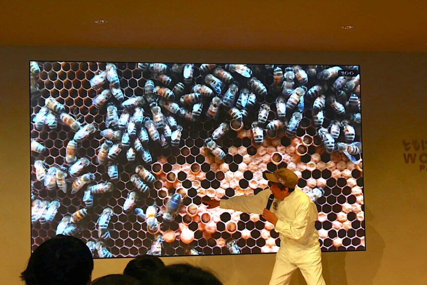 養蜂、大丸心斎橋、ウーマンズパビリオン