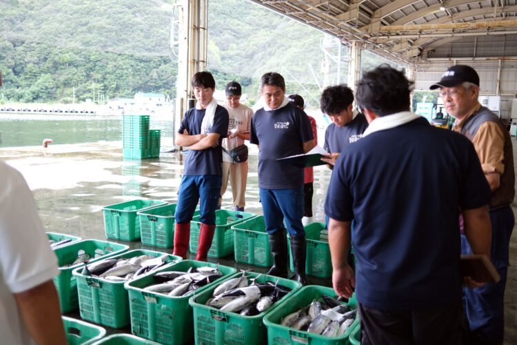 四国酒場、居酒屋