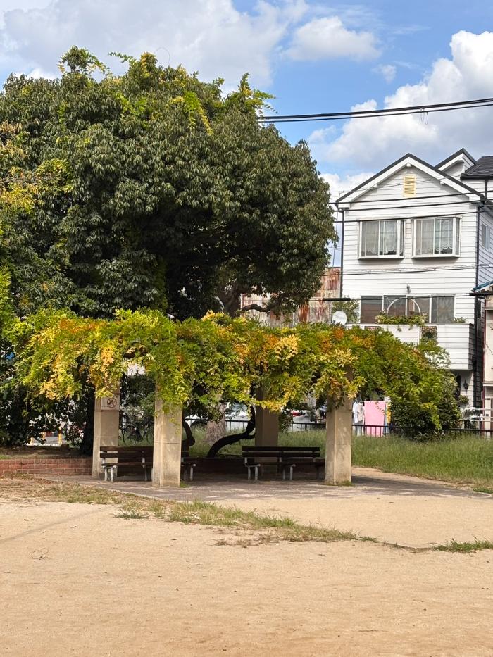 此花区　此花公園　東屋