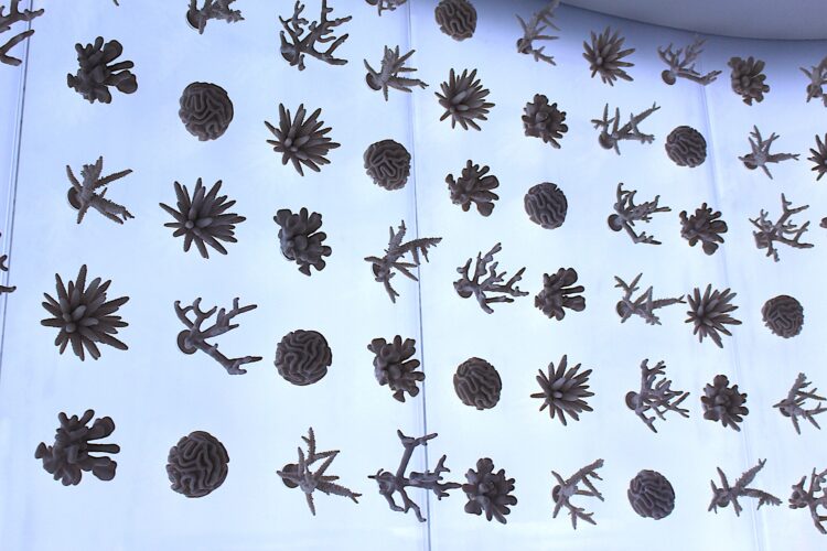 mamaコムマルシェ、万博