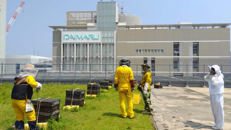 B HONEY、モナコ、万博、ミツバチ、養蜂