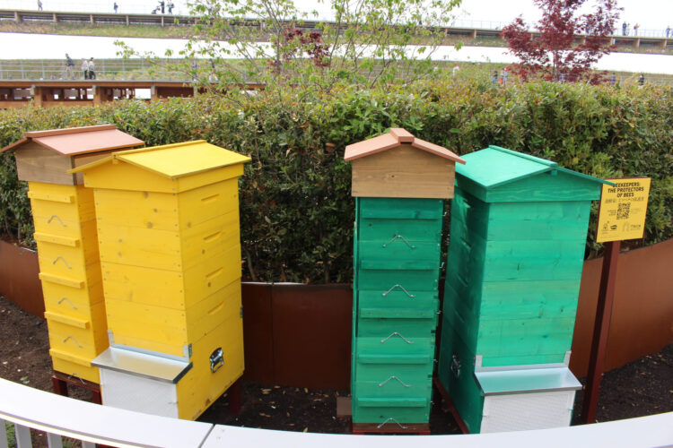 B HONEY、モナコ、万博、ミツバチ、養蜂