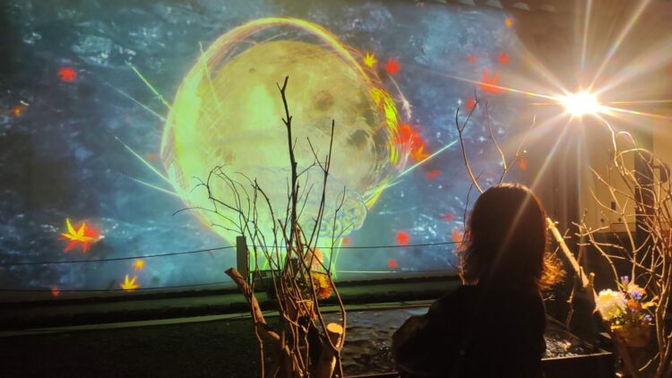 二条城、Naked、プロジェクションマッピング