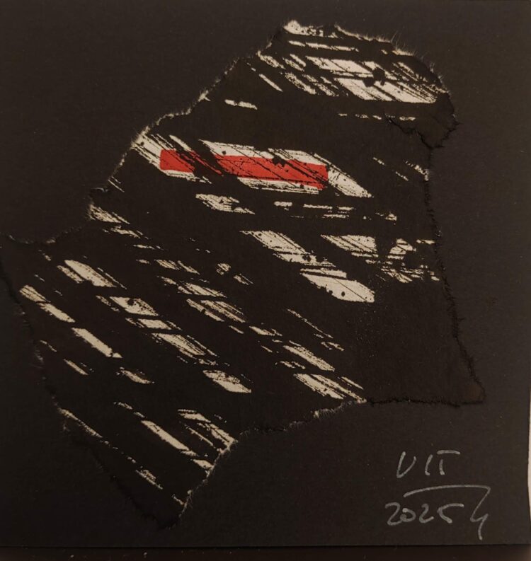 ヴィート・コデューセック、Vit、チェコ、万博