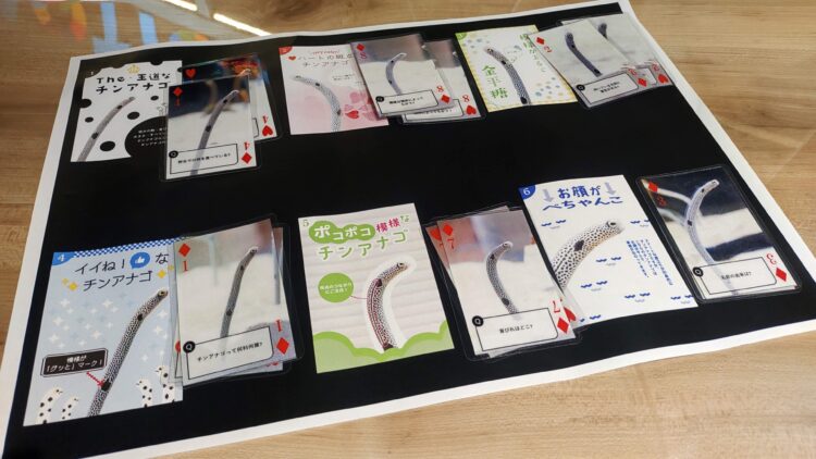 京都水族館、チンアナゴ