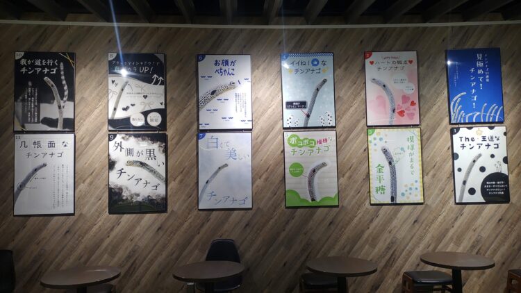 京都水族館、チンアナゴ