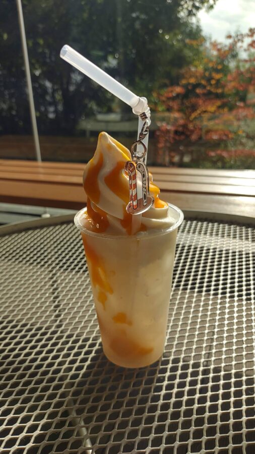 京都水族館、チンアナゴ