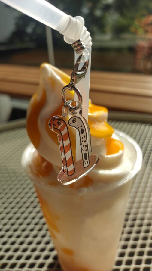 京都水族館、チンアナゴ