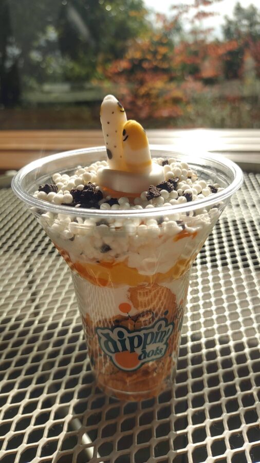 京都水族館、チンアナゴ