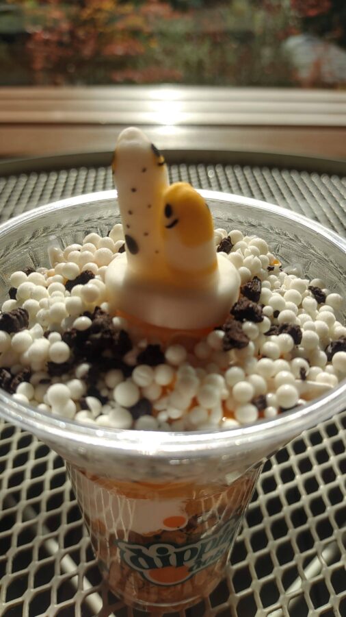 京都水族館、チンアナゴ