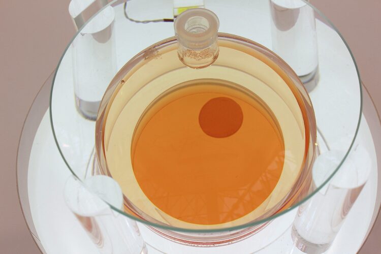 mamaコムマルシェ、万博