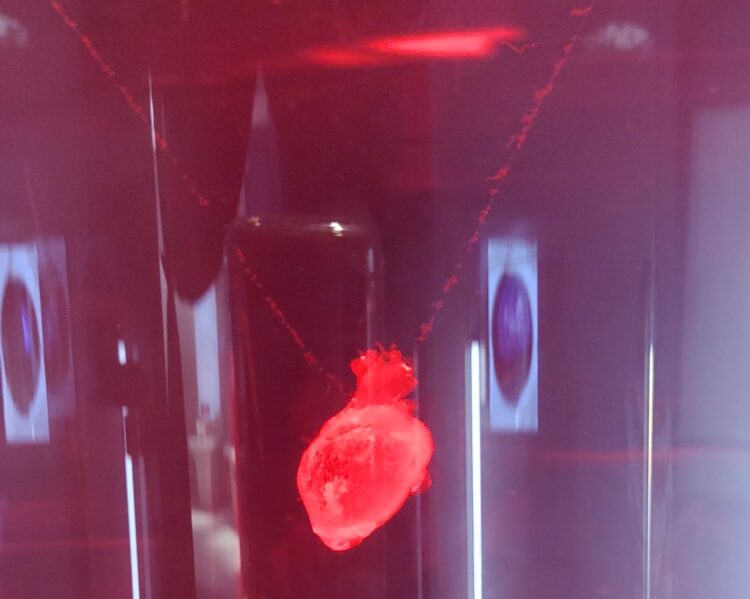 mamaコムマルシェ、万博