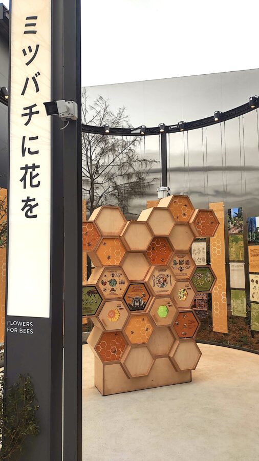 B HONEY、モナコ、万博、ミツバチ、養蜂