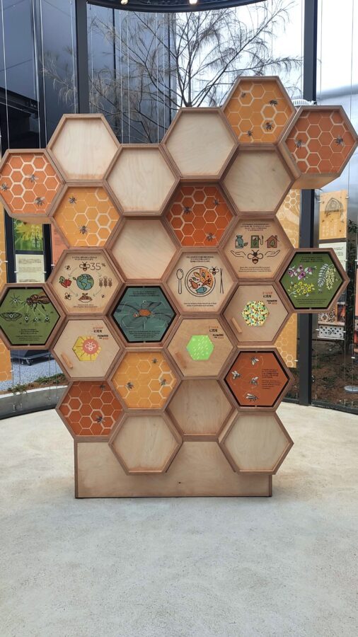 B HONEY、モナコ、万博、ミツバチ、養蜂