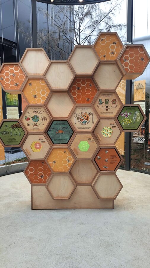 mamaコムマルシェ、万博