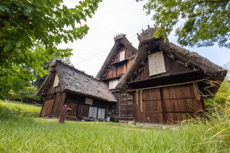 日本民家集落博物館、『古民家フェスティバル