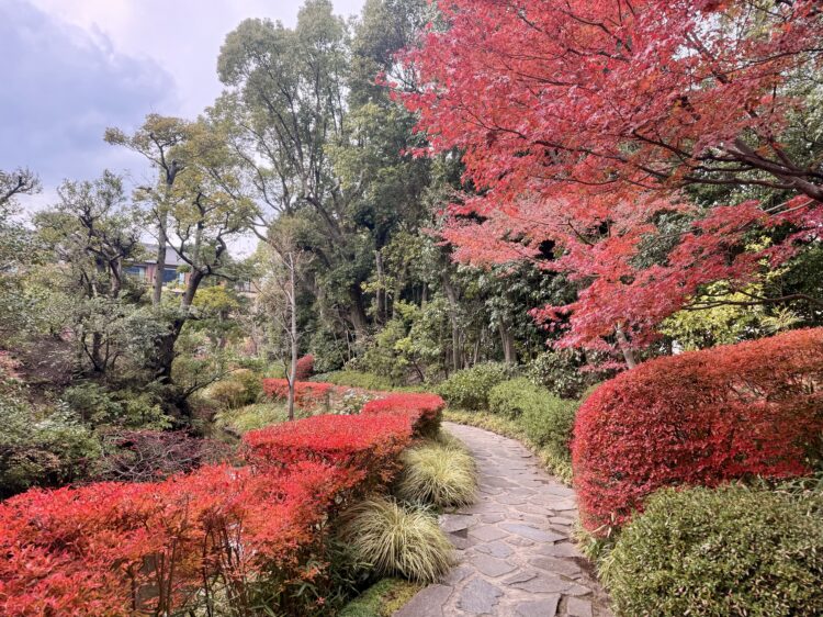 アフタヌーンティー 、フォーシーズンズホテル京都