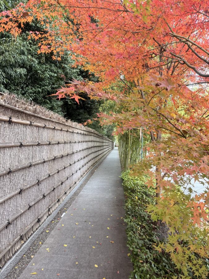 アフタヌーンティー 、フォーシーズンズホテル京都