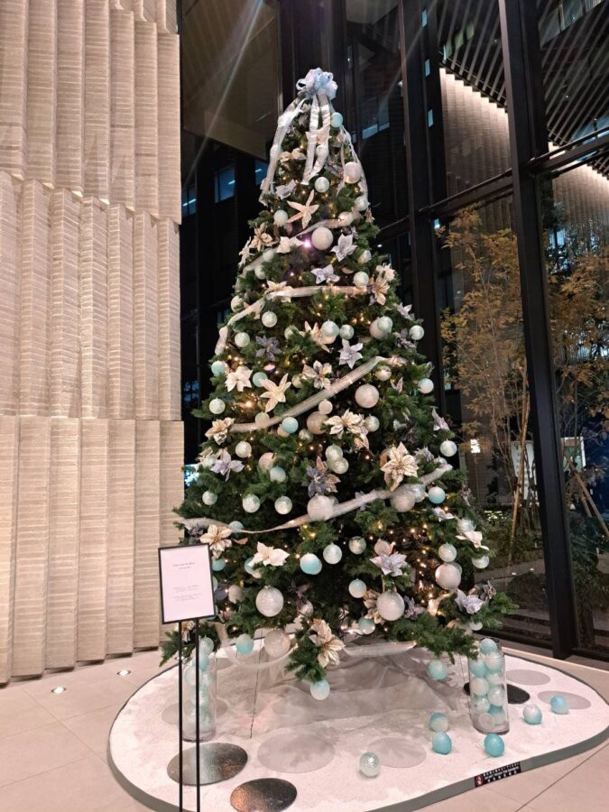 カンオホルズ大阪ザ・タワー、ザ・シーズ スカイダイング ウィンタービュッフェ