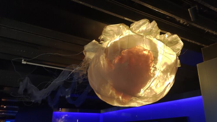京都水族館、くらげのあかりたち