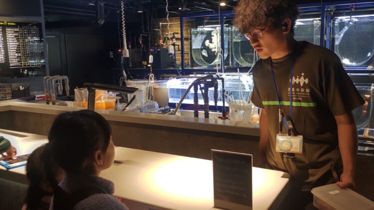 京都水族館、くらげのあかりたち