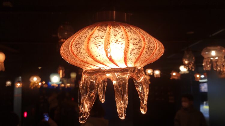 京都水族館、くらげのあかりたち