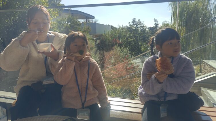 京都水族館、くらげのあかりたち