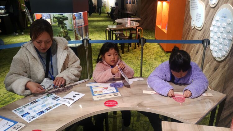 京都水族館、くらげのあかりたち