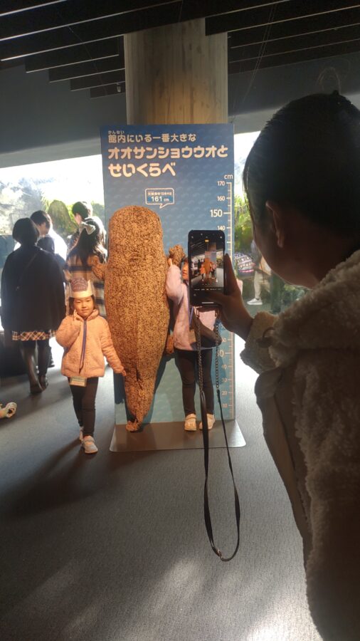 京都水族館、くらげのあかりたち