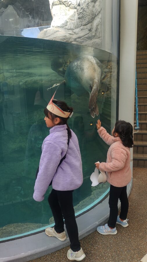京都水族館、くらげのあかりたち