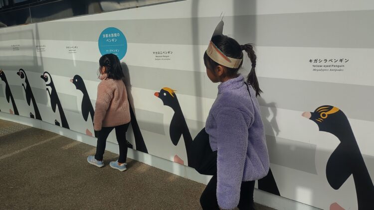 京都水族館、くらげのあかりたち