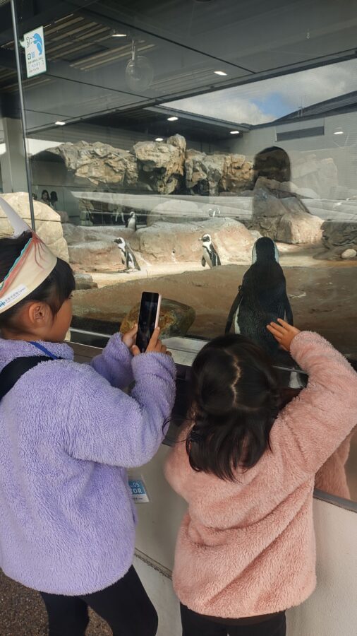 京都水族館、くらげのあかりたち