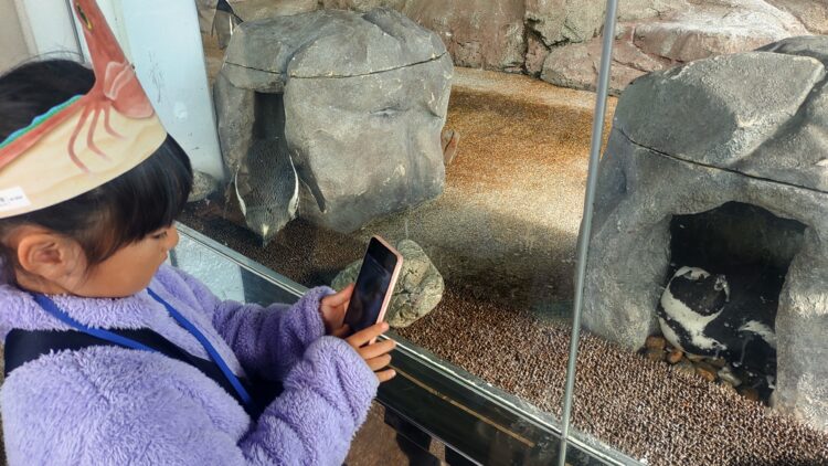 京都水族館、くらげのあかりたち