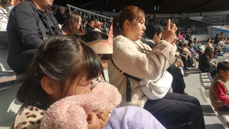 京都水族館、くらげのあかりたち