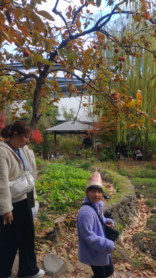 京都水族館、くらげのあかりたち