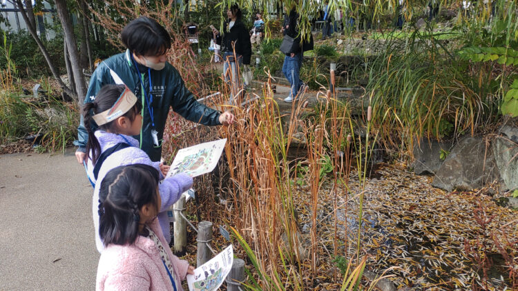 京都水族館、くらげのあかりたち