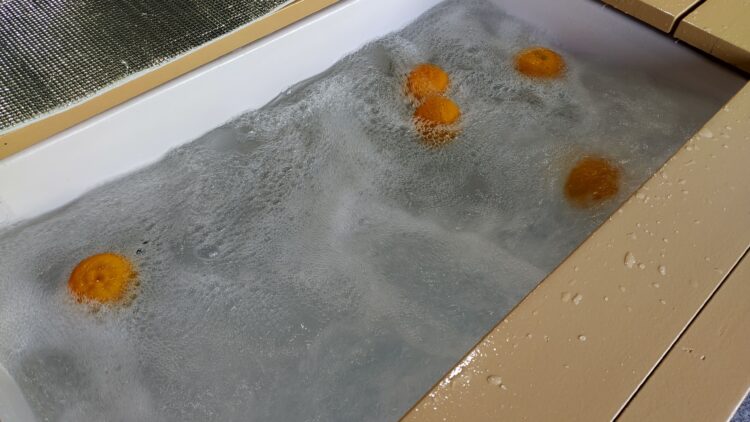 グラングリーン大阪、クリスマス